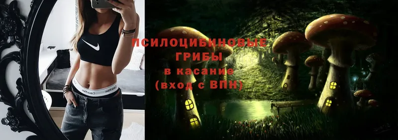 Галлюциногенные грибы Cubensis  гидра сайт  Таганрог  купить закладку 